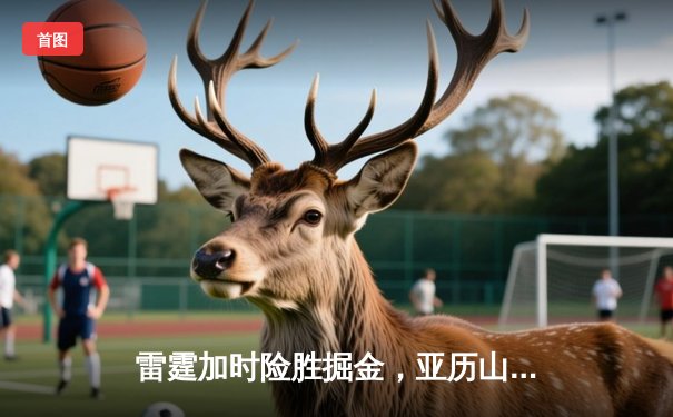 雷霆加时险胜掘金，亚历山大39分准三双锁定西部头名